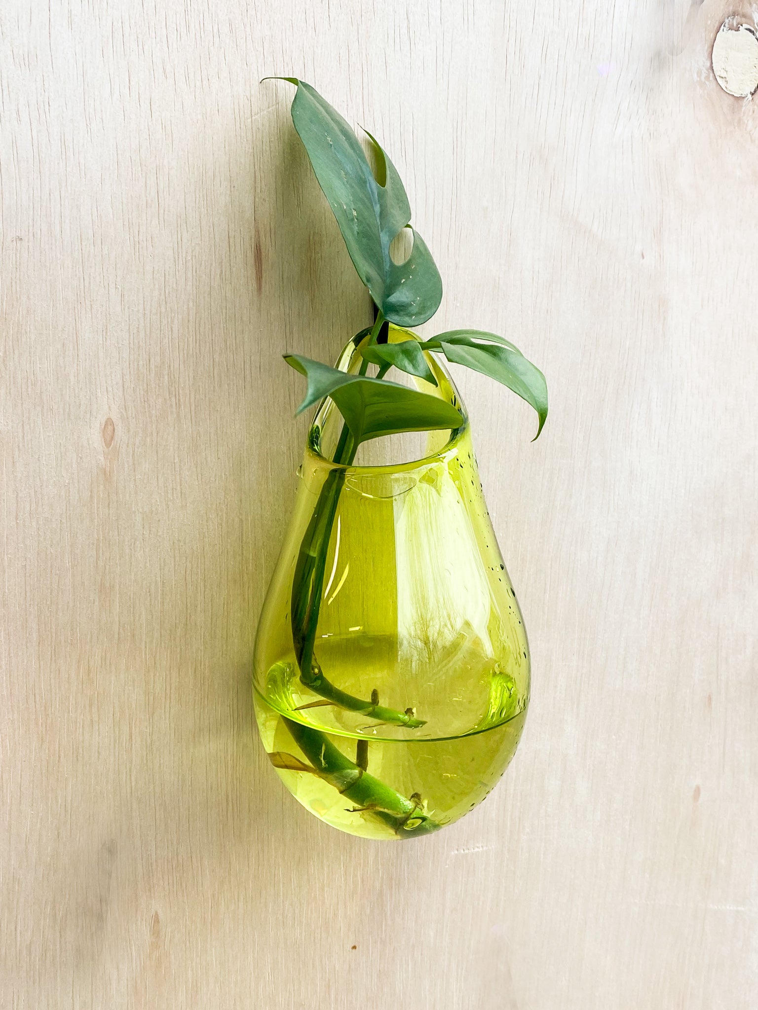 Wall Vase