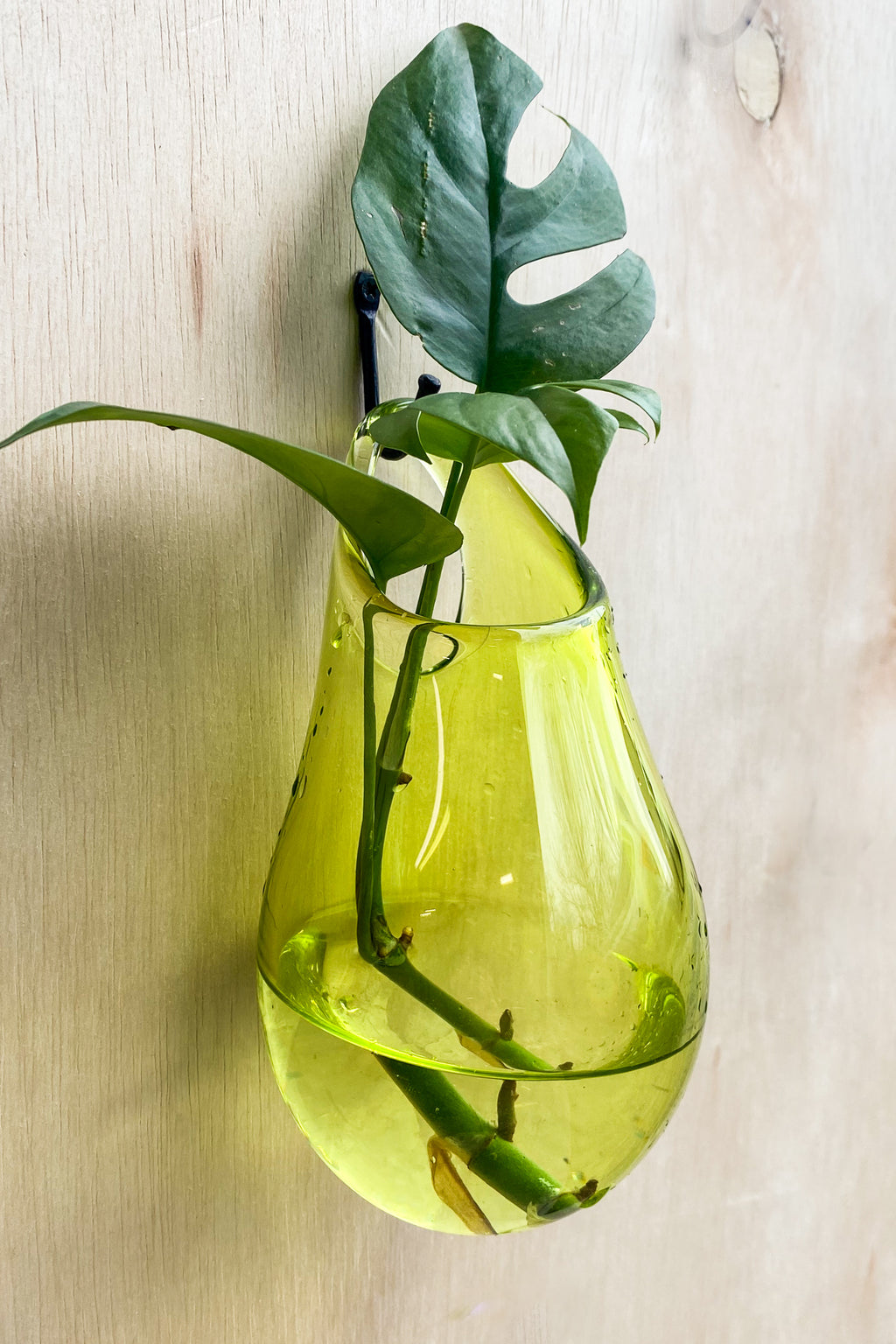 Wall Vase