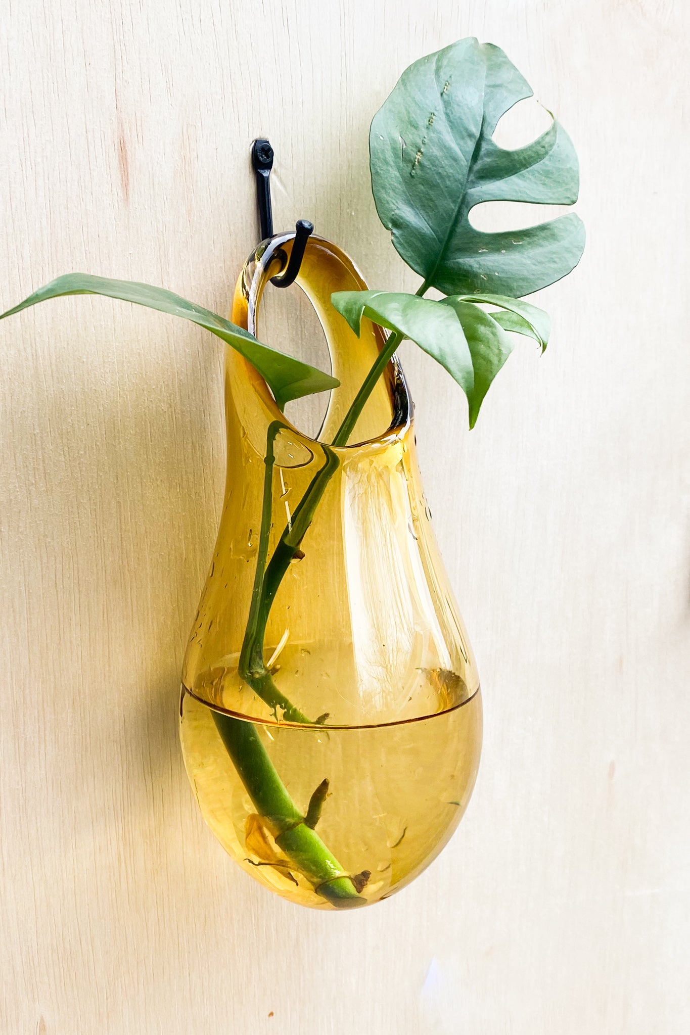 Wall Vase